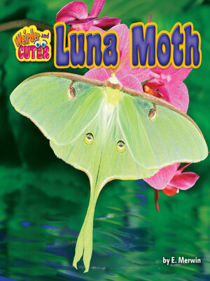 cover image of Luna Moth